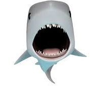 Timy's profile picture