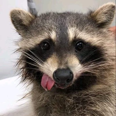 Mioink_Tattoo's profile picture