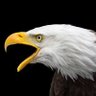 Reason's profile picture