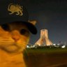 sedalfie's profile picture