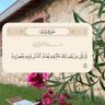 Profilbild von لوليتا❤️