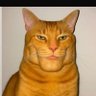Carmen's profile picture