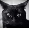 Dalene (no "r")'s profile picture