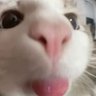 artsynuts 的头像