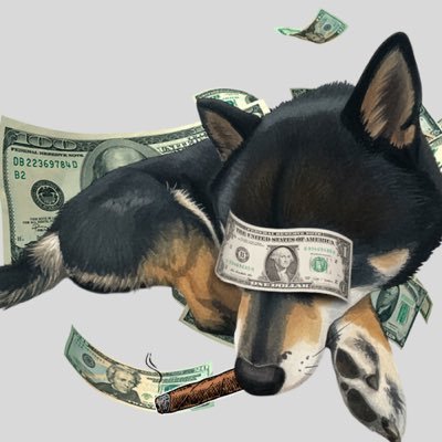 Tanaka's profile picture