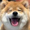Profilbild von Web3-story加号