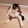 Susan Jennings's profile picture