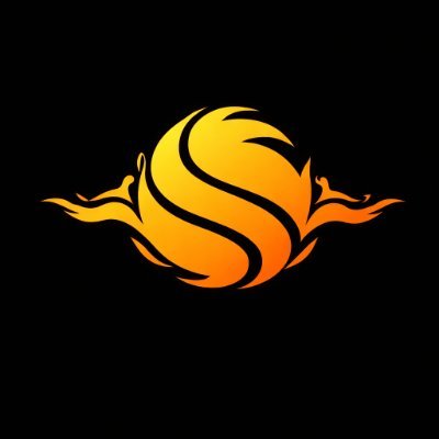 solyxesports's profile picture