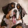 Sigma Dog Portraits's profile picture