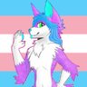Nova The Folf 🏳️‍⚧️ 的头像