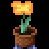 Profilbild von きゅうり