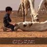 Profilbild von نبراس