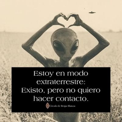 Tristán's profile picture