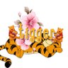 Tigger 🏳️🌈🌈 profil fotoğrafı