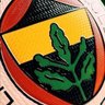 SarıLaci1907's profile picture
