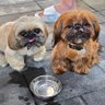 Sun & Tzu's profile picture
