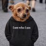 I am who i am 的头像