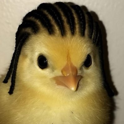 pocopoco_tevin's profile picture