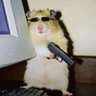 Profilbild von Joel