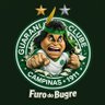 Profilbild von FURO DO BUGRE