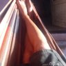 Profilbild von Wss