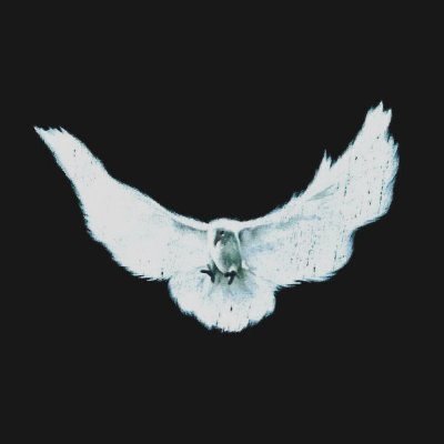 TheYeezyArchive's profile picture