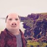 Gubbo profil fotoğrafı