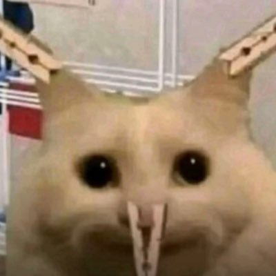 dollcored's profile picture