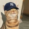 Profilbild von ローン猫パーク