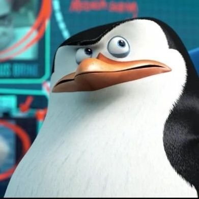Skipper 🐧's profile picture