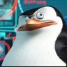 Фото профиля Skipper 🐧