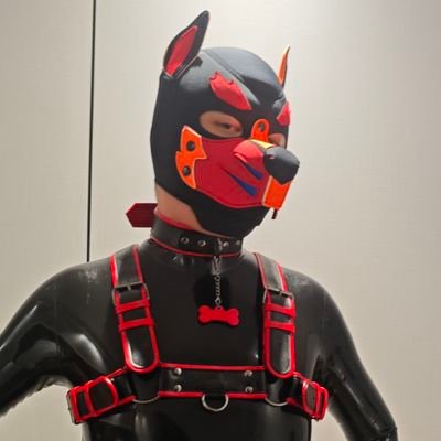 Bark69714341's profile picture