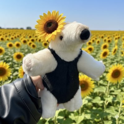 newjeans_new's profile picture