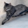 Фото профиля chillin’