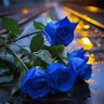 Фото профиля توته💙