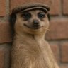 Profilbild von Orpheus