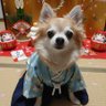 k-subarist,(スバリスト)🐺's profile picture