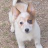 LK profil fotoğrafı