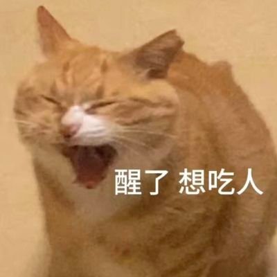 红茶猫糕's profile picture