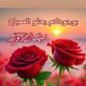 عبدالله النوبي 的头像