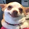 Profilbild von pey