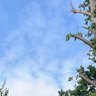 重庆王先生fq profil fotoğrafı