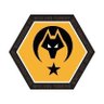 Wolves Türkiye's profile picture