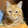 Taka profil fotoğrafı