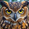 Rieakşın profil fotoğrafı
