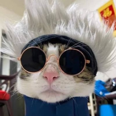 lukecodez's profile picture