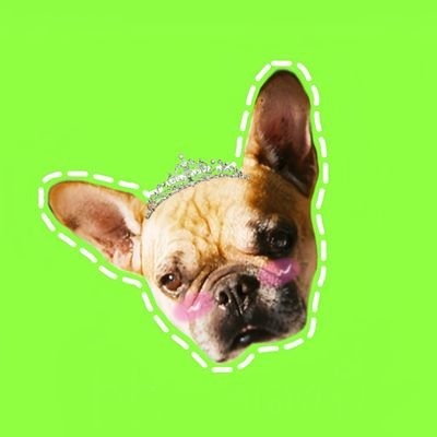 บรูโน่ | หมาบ่าวของเบคฟรีน🐶's profile picture