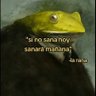 Usuario Random, Por favor ignorar 的头像