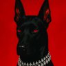 Ussyk's profile picture