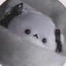 ちゃむ's profile picture
